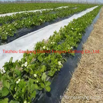 Couverture végétale Tissu non tissé pour la production végétale